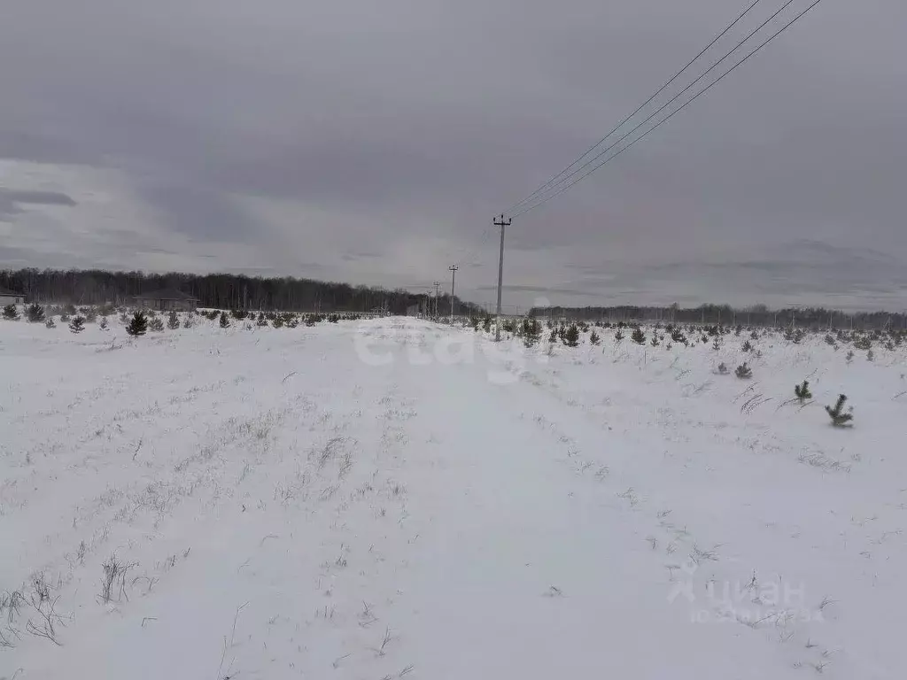 Участок в Тюменская область, Тюменский район, с. Кулига, Кулига-2 мкр  ... - Фото 0