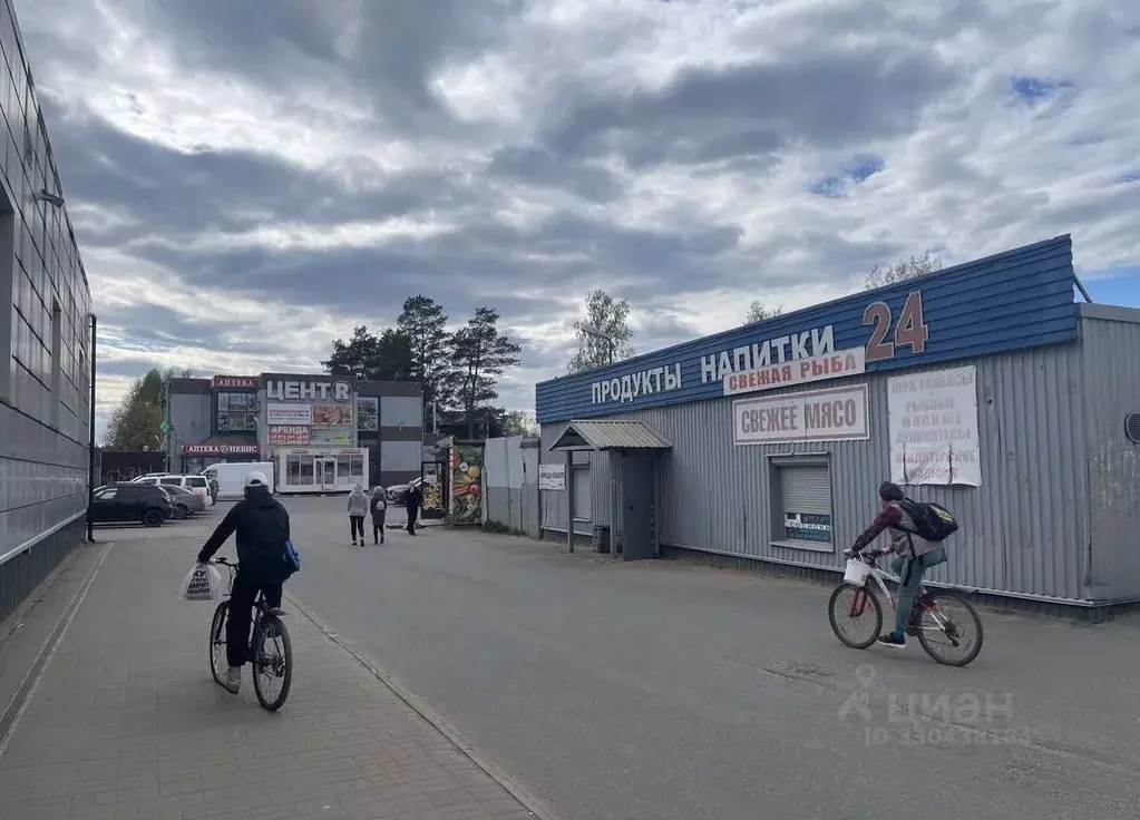 Торговая площадь в Ленинградская область, Всеволожск Советская ул., 2А ... - Фото 2