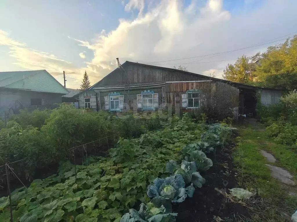 Дом в Курганская область, Шадринск ул. Панфилова, 42 (75 м) - Фото 2