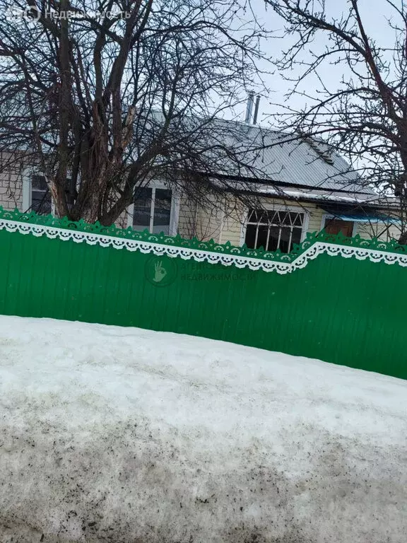 Дом в Республика Татарстан, посёлок городского типа Балтаси (59 м) - Фото 0