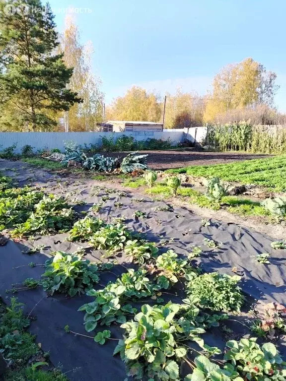 Участок в Барышевский сельсовет, СНТ Надежда-2, Молодёжная улица (6 м) - Фото 2