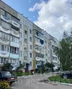 1-к кв. Брянская область, Брянск Почтовый пер., 160 (41.6 м) - Фото 0