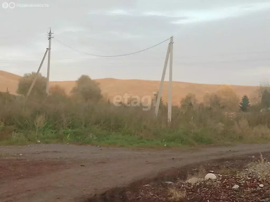 Участок в Алтайский район, село Верх-Ая, Алтайская улица (20 м) - Фото 0