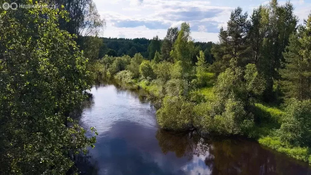 Участок в Будогощское городское поселение, деревня Солоницы, ... - Фото 1