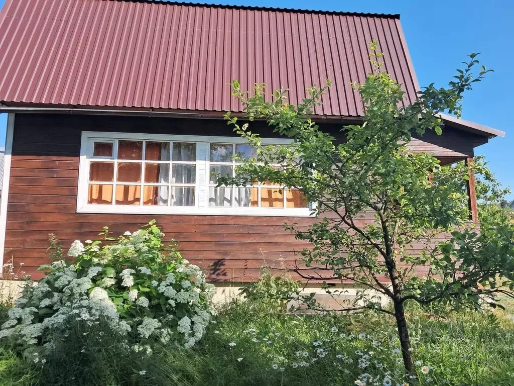 Дом в Владимирская область, Киржач Восход СНТ, ул. Рябиновая (74 м) - Фото 2