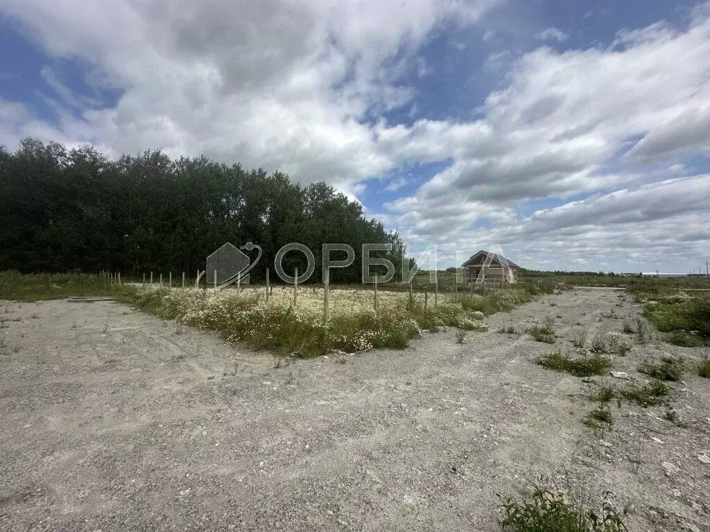 Участок в Тюменская область, Тюменский район, с. Горьковка  (8.92 ... - Фото 1