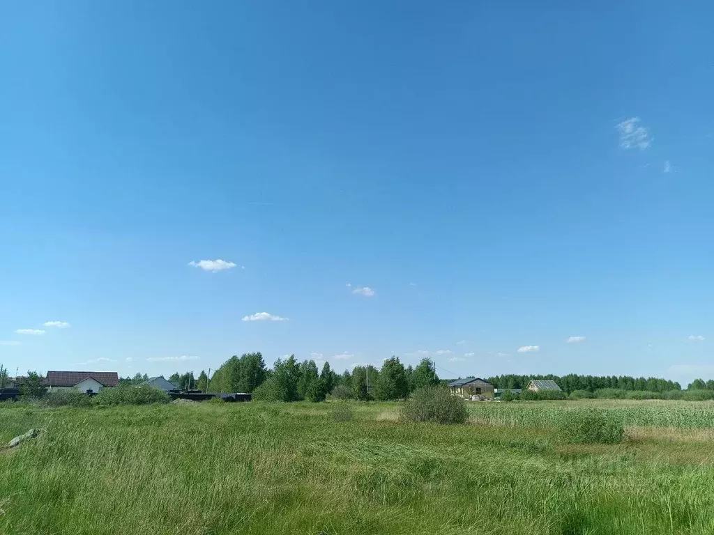 Участок в Челябинская область, Сосновский муниципальный округ, пос. ... - Фото 0