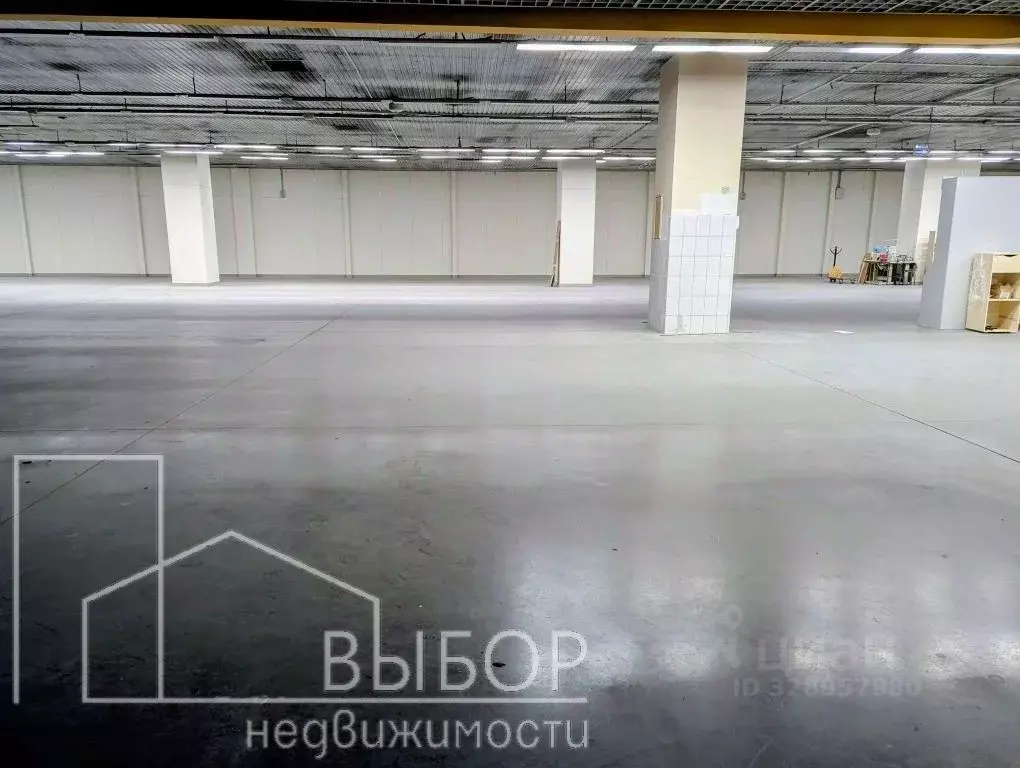 Помещение свободного назначения в Томская область, Томск ул. Пушкина, ... - Фото 2
