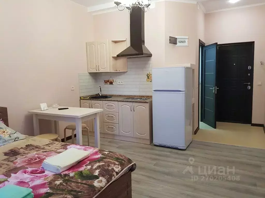 Студия Крым, Алупка ул. Имени Олега Кошевого, 7Б (25.0 м) - Фото 2