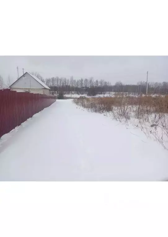 Участок в Орловская область, Глазуновский район, Отрадинское с/пос, д. ... - Фото 0