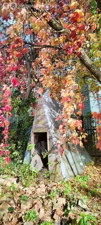 Дом в Вологодский муниципальный округ, деревня Ватланово, 5 (51.1 м) - Фото 2