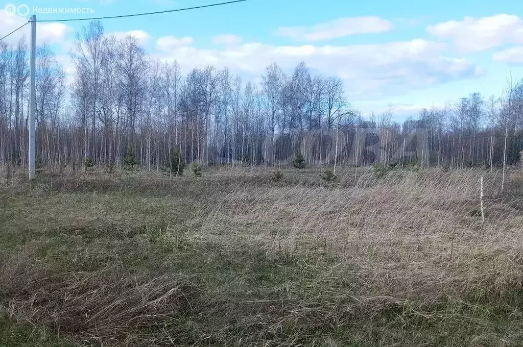 Участок в Ялуторовский район, село Киева (10 м) - Фото 1