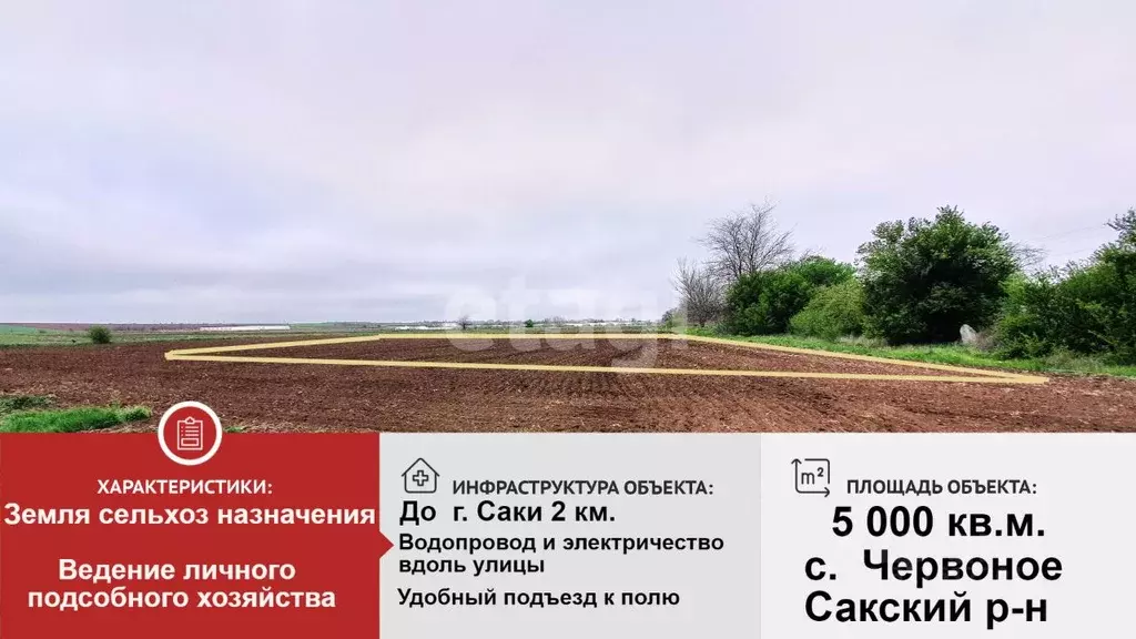 Участок в Крым, Сакский район, Ореховское с/пос, с. Червоное  (50.0 ... - Фото 0