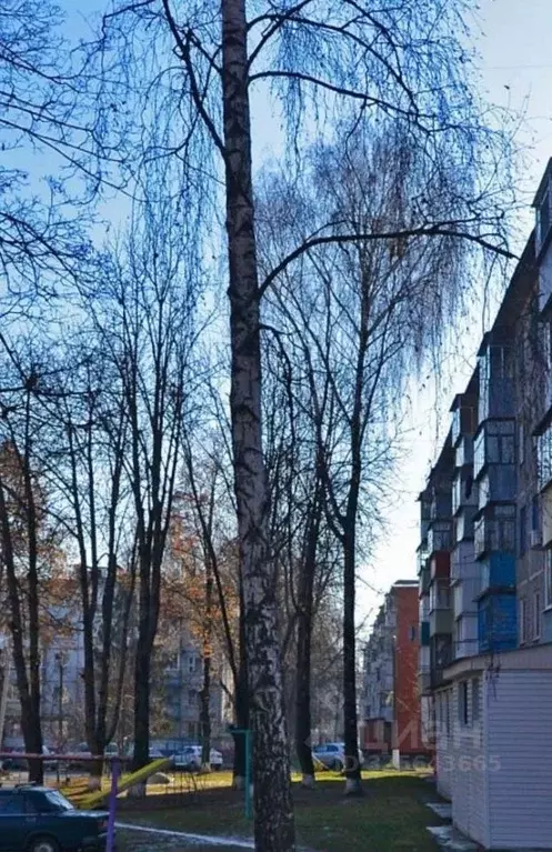 3-к кв. Белгородская область, Белгород ул. Железнякова, 15 (60.0 м) - Фото 2