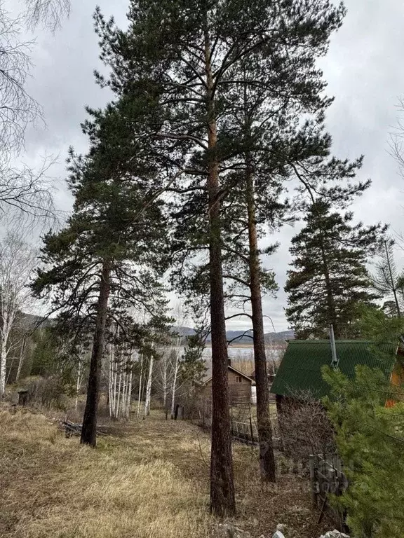 Участок в Челябинская область, Кыштымский городской округ, пос. ... - Фото 1
