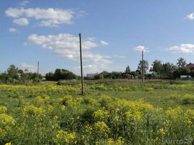 Участок в Тульская область, Ясногорский район, Иваньковское ... - Фото 1