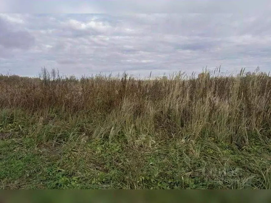 Участок в Московская область, Клин городской округ, д. Богаиха  (10.0 ... - Фото 2