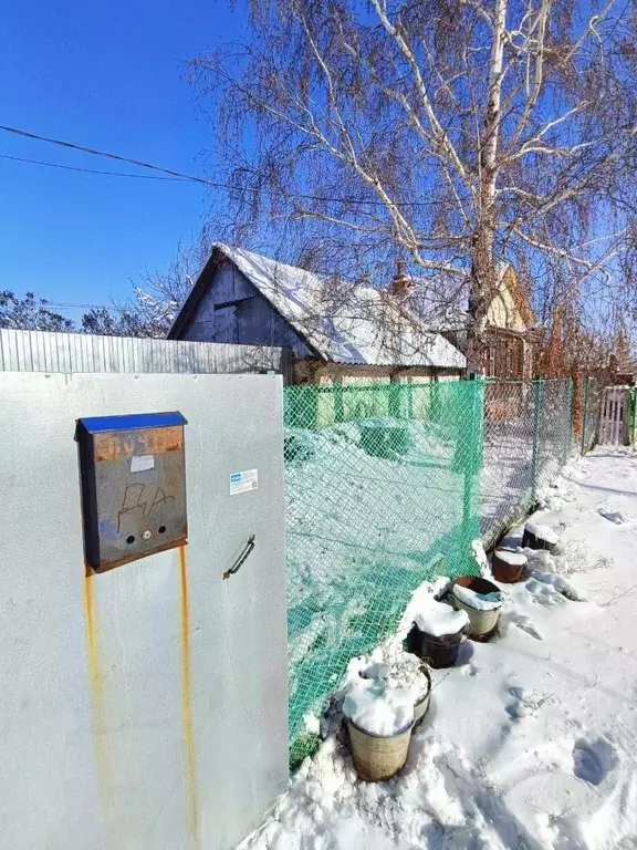Дом в Саратовская область, с. Синенькие ул. Советская, 8 (61 м) - Фото 1
