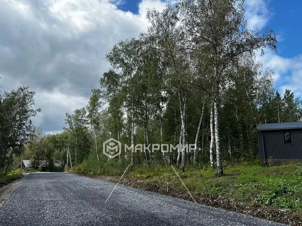 участок в новосибирская область, с. новолуговое ул. амурская (9.3 . - Фото 0