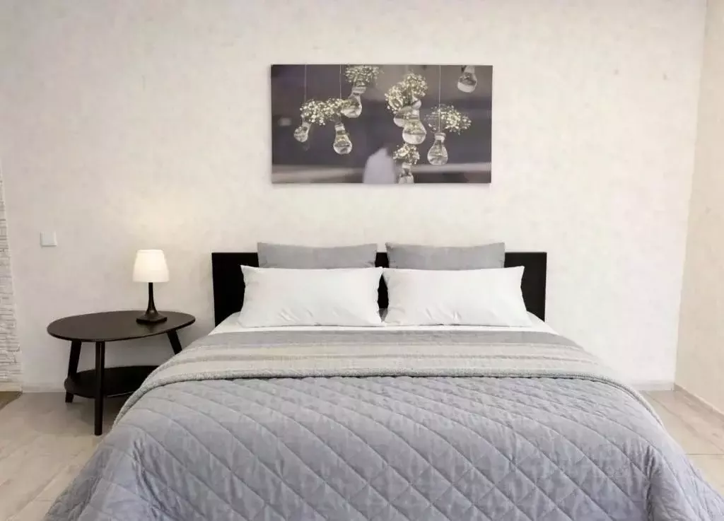 1-к кв. Пермский край, Пермь ул. Ленина, 49 (33.0 м) - Фото 2