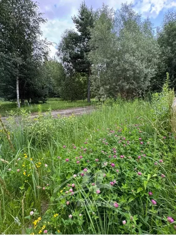 Участок в Московская область, Раменский городской округ, Ильинский рп ... - Фото 1