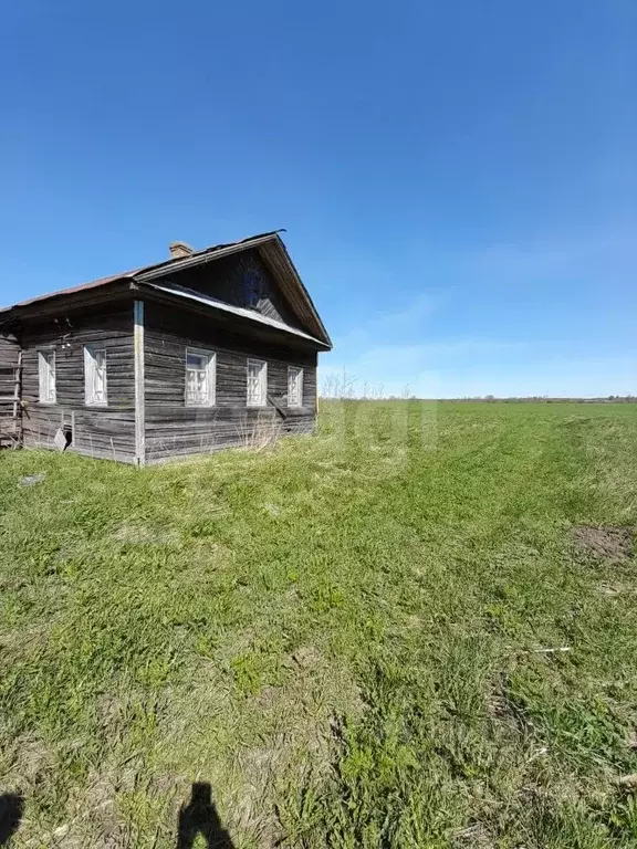 Участок в Вологодская область, Кадуйский муниципальный округ, д. ... - Фото 1