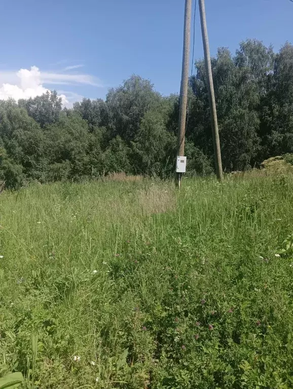 Участок в Кемеровская область, Новокузнецкий муниципальный округ, пос. ... - Фото 0