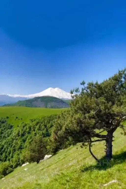 Участок в Кабардино-Балкария, Нальчик Радуга СТ, 4 (8.5 сот.) - Фото 1