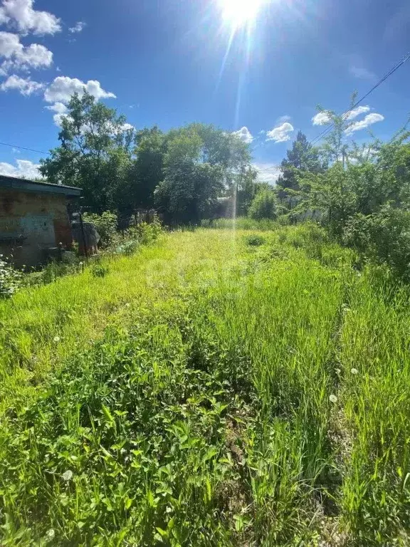 Участок в Амурская область, Благовещенский район, с. ... - Фото 1