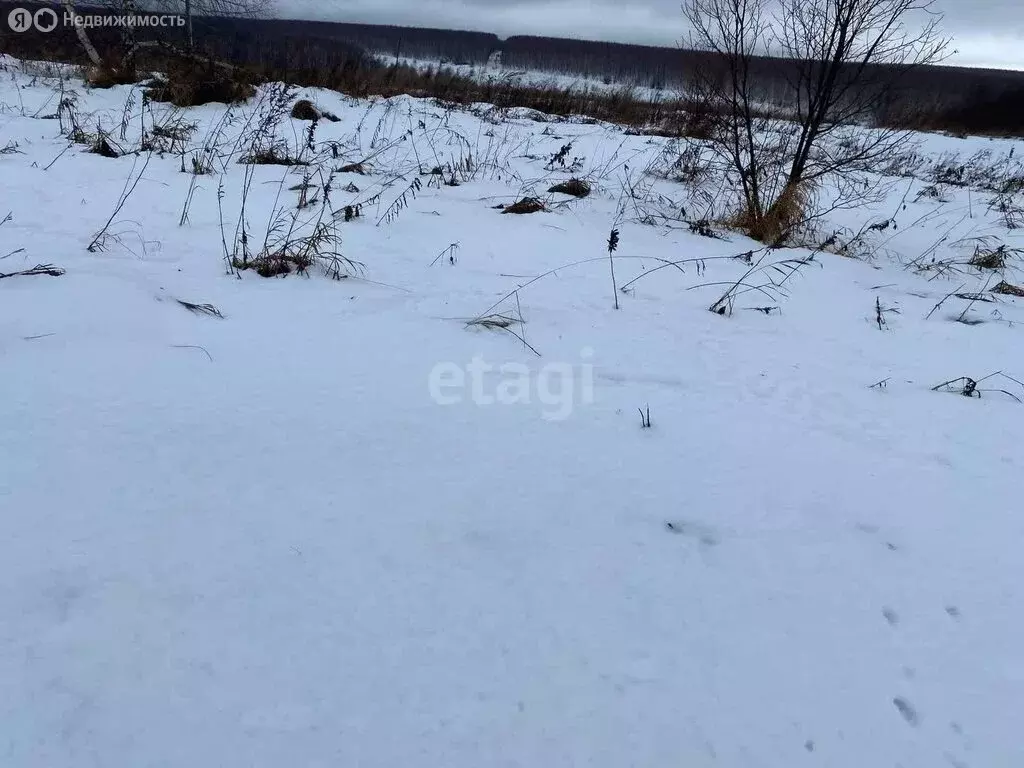 Участок в Нижегородская область, Дальнеконстантиновский муниципальный ... - Фото 1