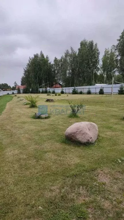 Участок в Ярославская область, Некрасовский муниципальный округ, д. ... - Фото 2