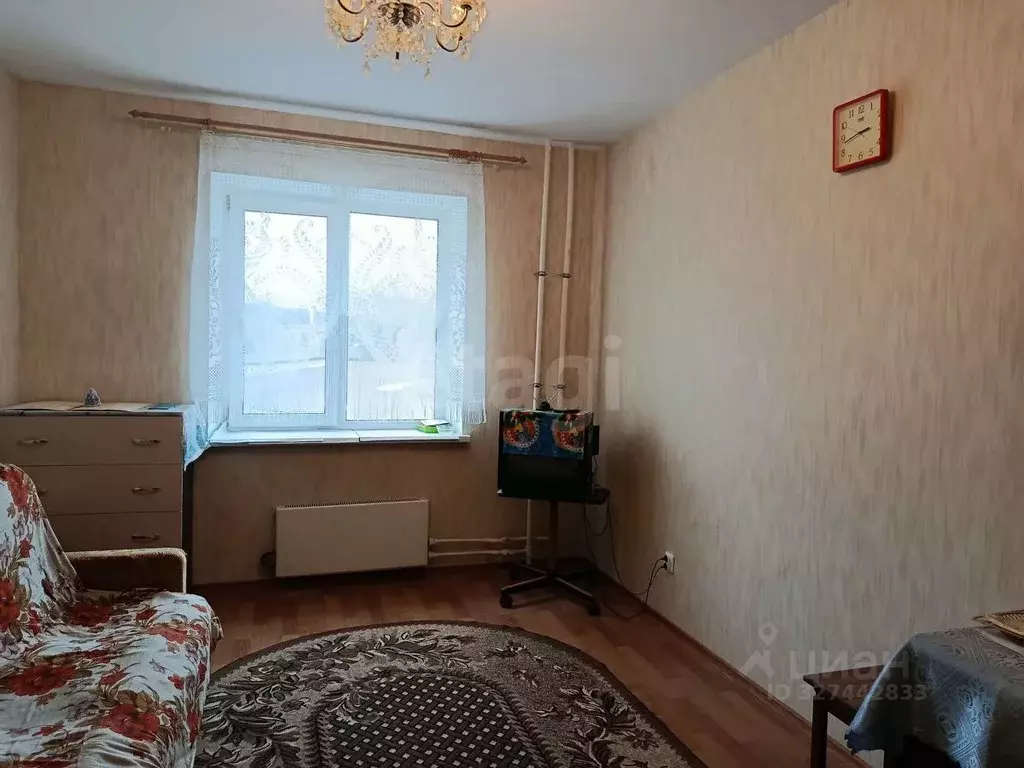 1-к кв. Псковская область, Остров ул. Освобождения, 7А (26.6 м) - Фото 1