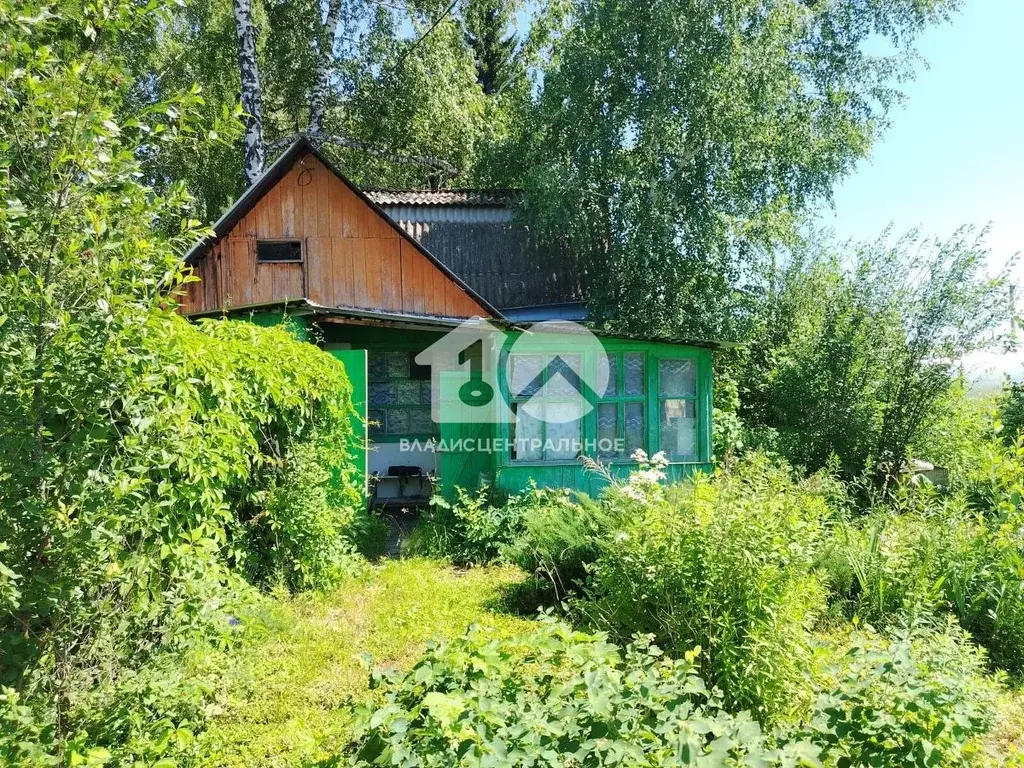 Участок в Новосибирская область, Новосибирский район, Барышевский ... - Фото 0