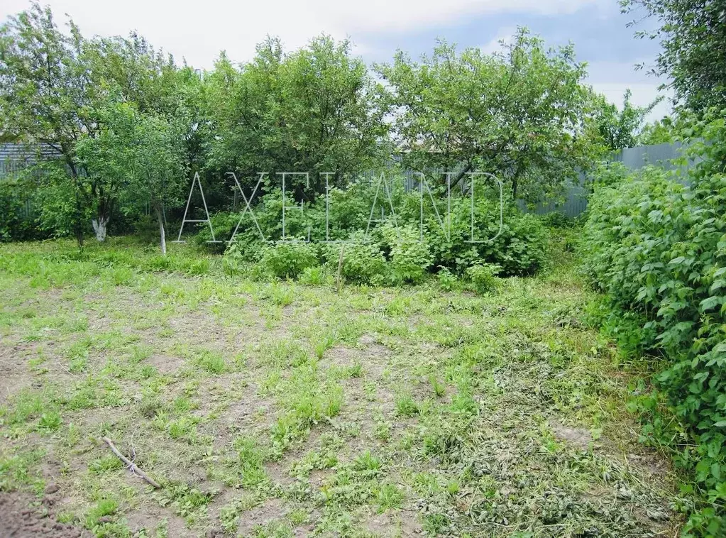 Участок в Московская область, Одинцовский городской округ, д. Лохино ... - Фото 1