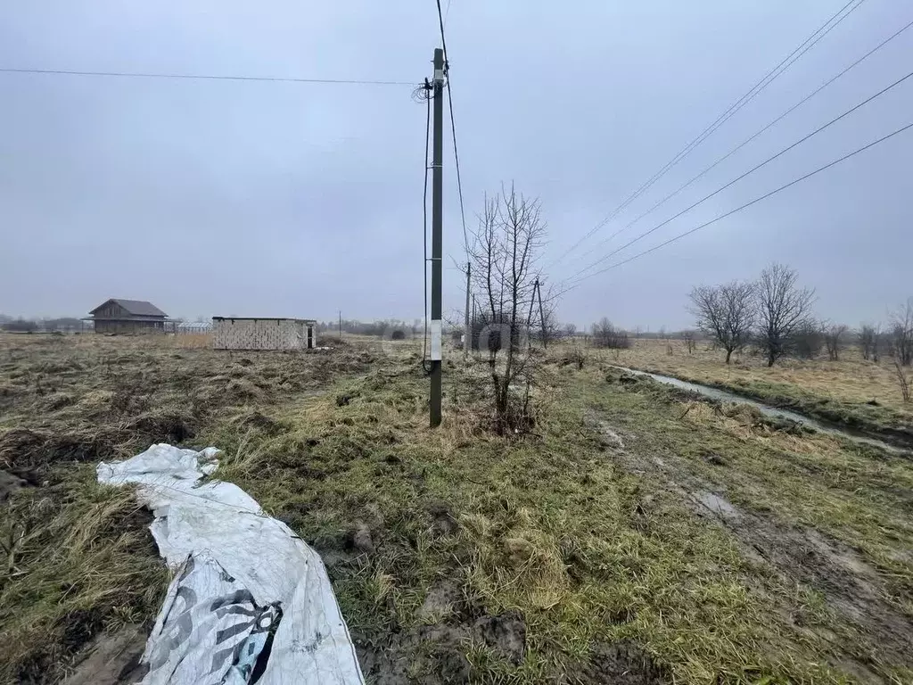 участок в калининградская область, гурьевский муниципальный округ, . - Фото 1