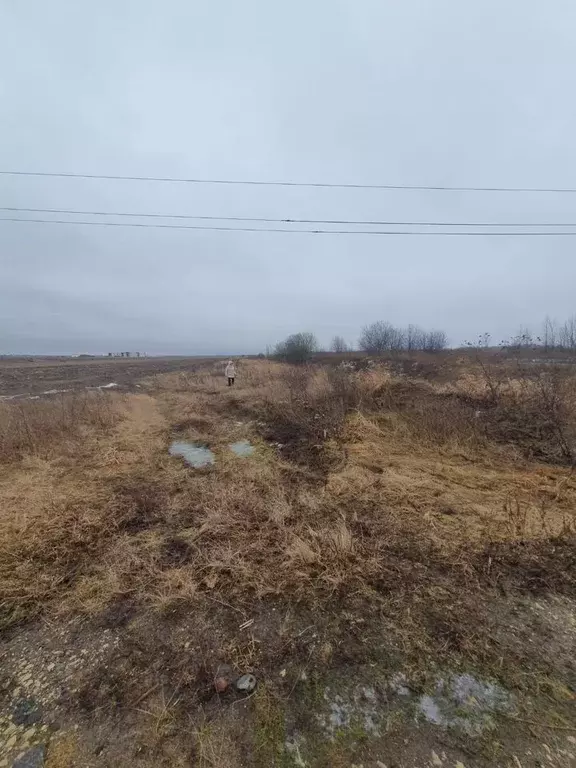 Участок в Санкт-Петербург пос. Шушары,  (3.0 сот.) - Фото 0