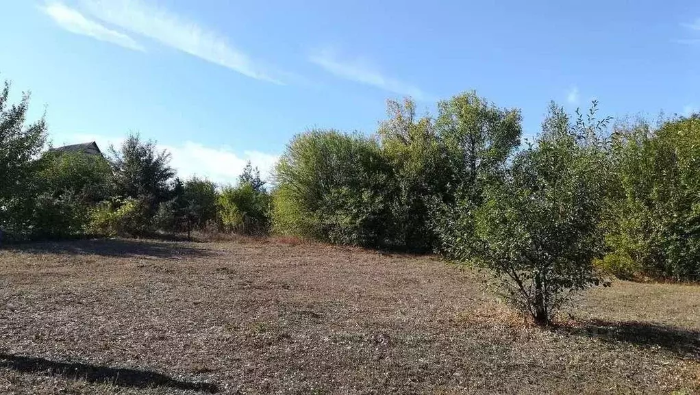 Участок в Белгородская область, Яковлевский городской округ, с. Шопино ... - Фото 0