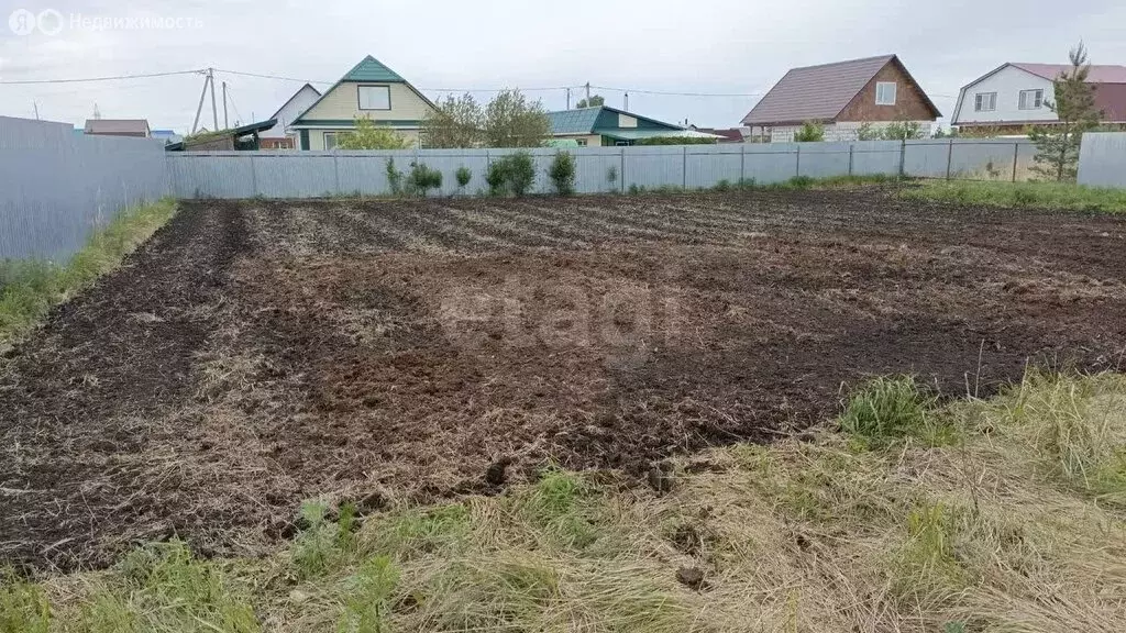 Участок в Курганская область, Кетовский муниципальный округ, НДПК ... - Фото 2