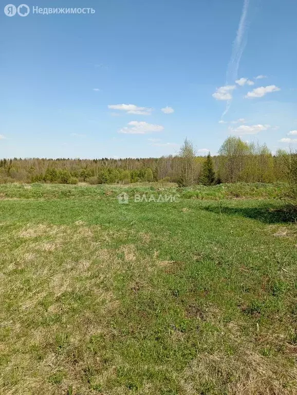 Участок в Республика Коми, городской округ Сыктывкар, посёлок Верхний ... - Фото 1