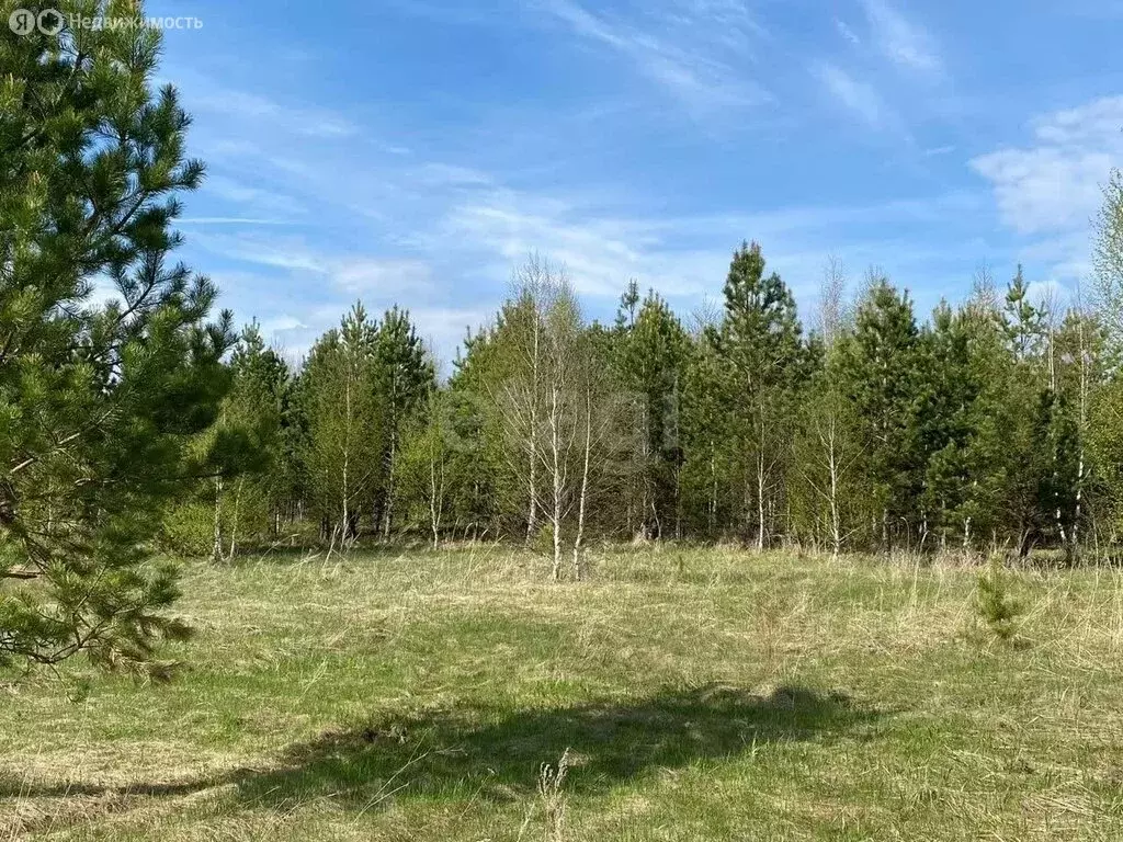 Участок в Чебаркульский округ, посёлок Кумысный (12 м) - Фото 0