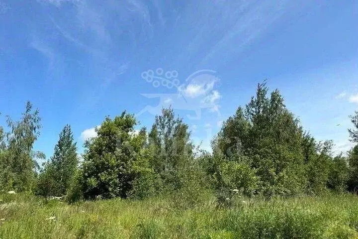 Участок, 11 сот., поселения (ижс) - Фото 1