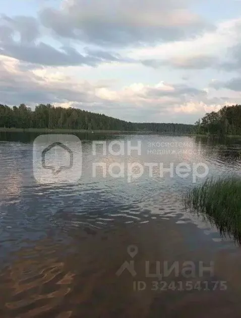 Участок в Ленинградская область, Всеволожский район, Куйвозовское ... - Фото 2