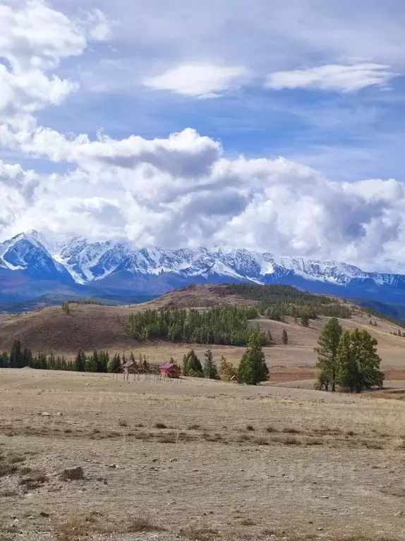Участок в Алтай, Кош-Агачский район, с. Курай  (15.0 сот.) - Фото 2