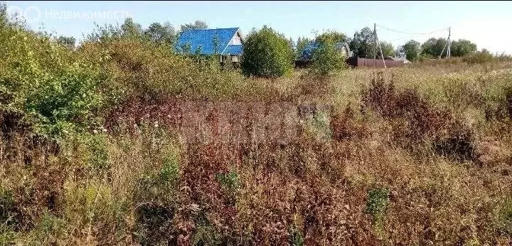 Участок в Вологодская область, Сокол (10 м) - Фото 2