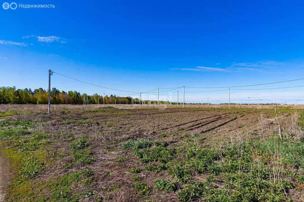 Участок в Тюменский район, село Успенка (12.2 м) - Фото 1