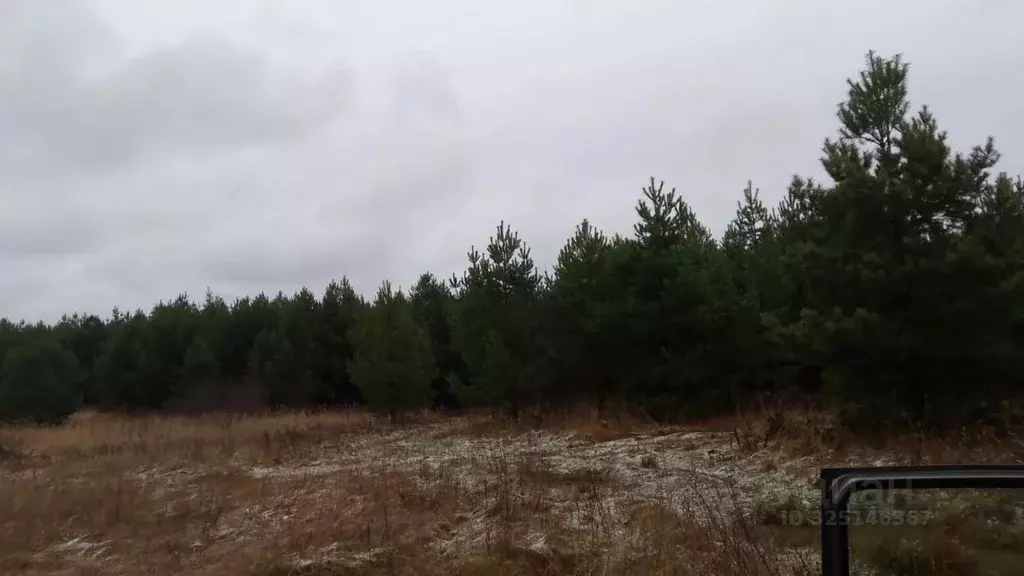 Участок в Башкортостан, Благовещенский район, Николаевский сельсовет, ... - Фото 1