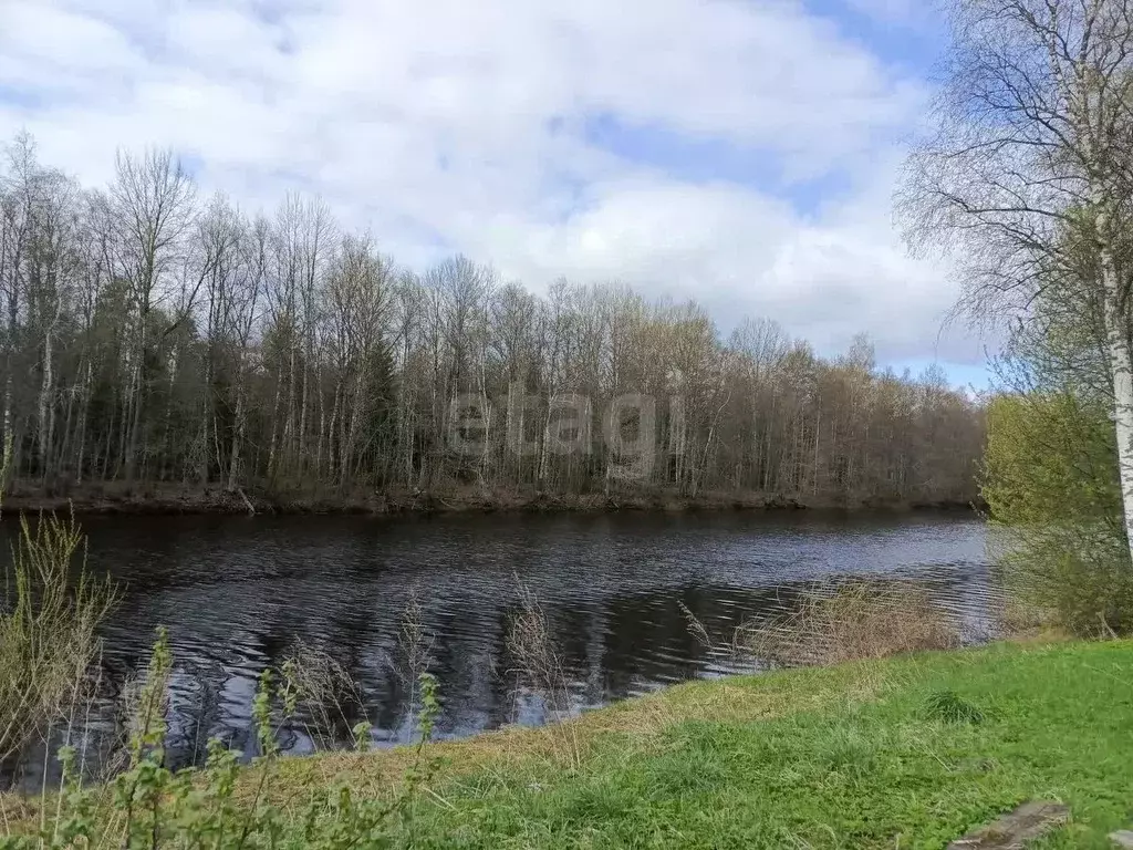 Дом в Новгородская область, Чудовский район, Грузинское с/пос, д. ... - Фото 1