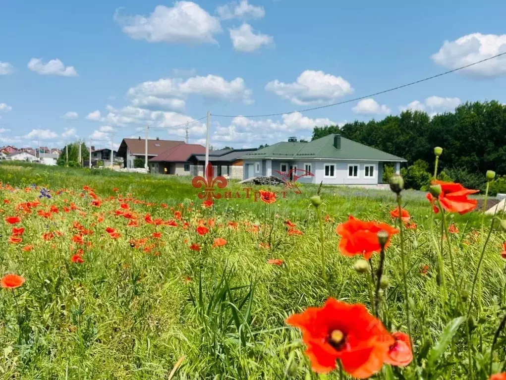 Дом в Белгородская область, Белгородский район, с. Стрелецкое, ... - Фото 1