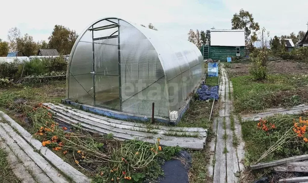Участок в Хабаровский край, Комсомольск-на-Амуре Строитель СНТ, ул. ... - Фото 1