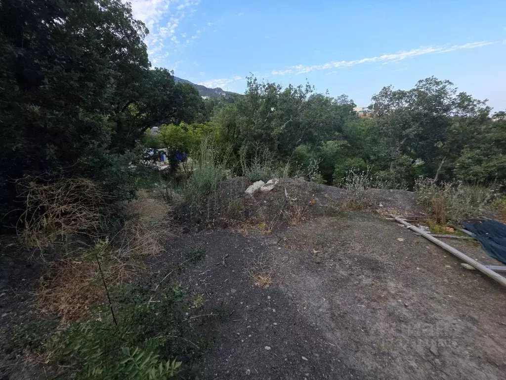 Участок в Крым, Ялта муниципальный округ, Восход пгт  (5.0 сот.) - Фото 2